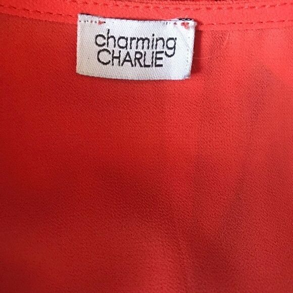 Charming Charlie Top - Picture 7 of 8